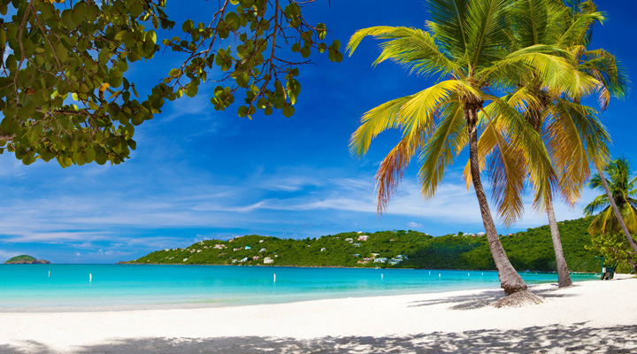 Caribbean Travel Specialist